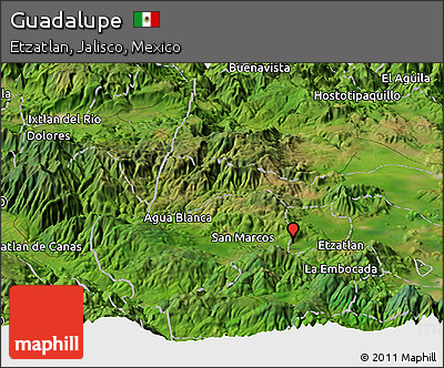 Satellite Panoramic Map of Guadalupe