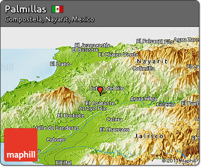 Physical Panoramic Map of Palmillas