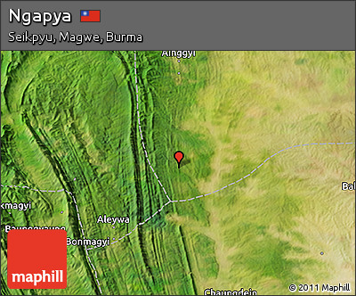 Satellite 3D Map of Ngapya