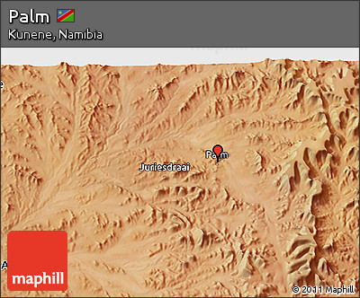 Satellite 3D Map of Palm