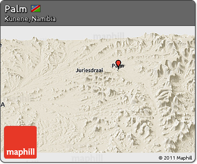 Shaded Relief Panoramic Map of Palm