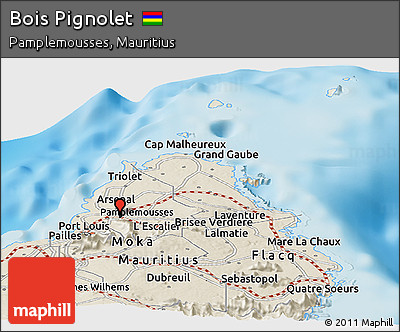 Shaded Relief Panoramic Map of Bois Pignolet