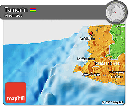 Political 3D Map of Tamarin
