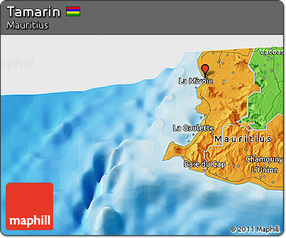 Political 3D Map of Tamarin