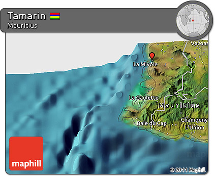 Satellite 3D Map of Tamarin