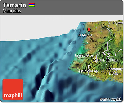 Satellite 3D Map of Tamarin