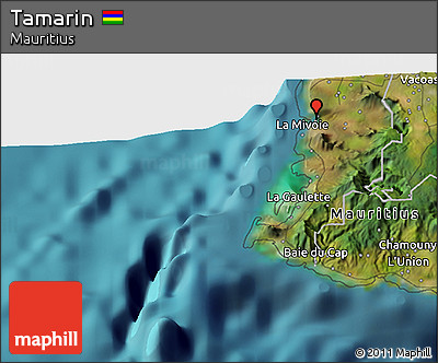 Satellite 3D Map of Tamarin