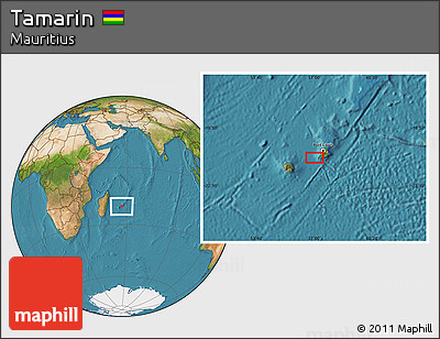 Satellite Location Map of Tamarin