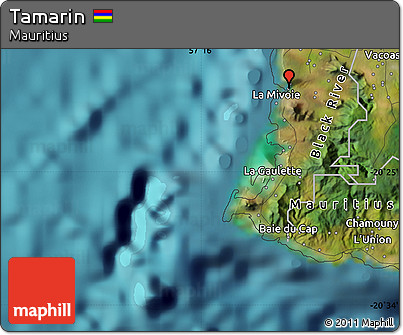 Satellite Map of Tamarin
