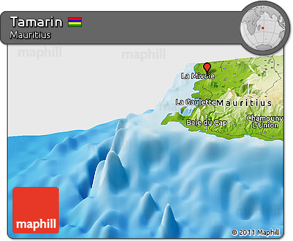 Physical Panoramic Map of Tamarin