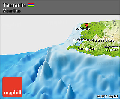 Physical Panoramic Map of Tamarin