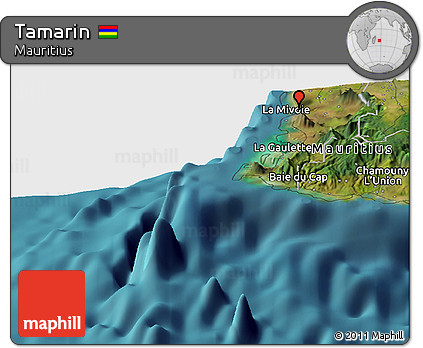 Satellite Panoramic Map of Tamarin