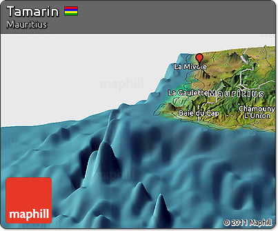 Satellite Panoramic Map of Tamarin