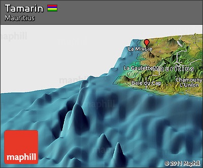 Satellite Panoramic Map of Tamarin
