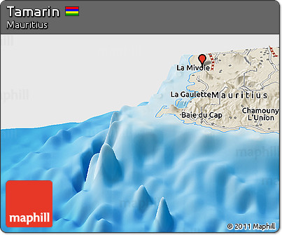 Shaded Relief Panoramic Map of Tamarin