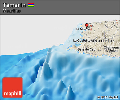 Shaded Relief Panoramic Map of Tamarin