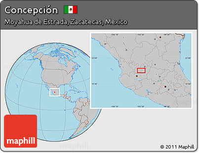 Gray Location Map of Concepción