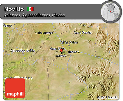 Satellite 3D Map of Novillo