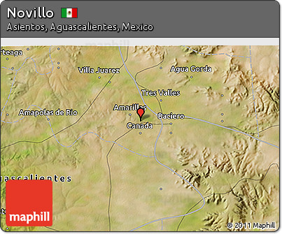 Satellite 3D Map of Novillo
