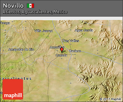 Satellite 3D Map of Novillo