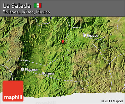 Satellite 3D Map of La Salada