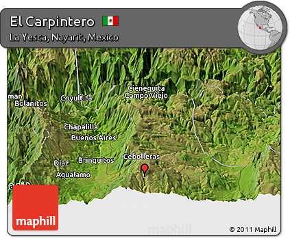 Satellite Panoramic Map of El Carpintero