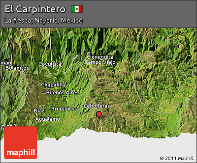 Satellite Panoramic Map of El Carpintero