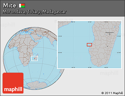 Gray Location Map of Mite