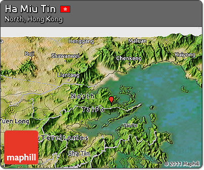Satellite 3D Map of Ha Miu Tin