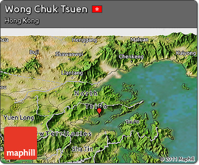 Satellite 3D Map of Wong Chuk Tsuen
