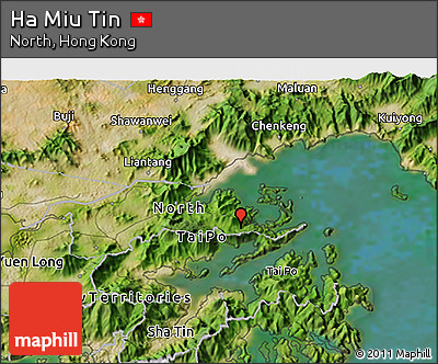 Satellite 3D Map of Ha Miu Tin
