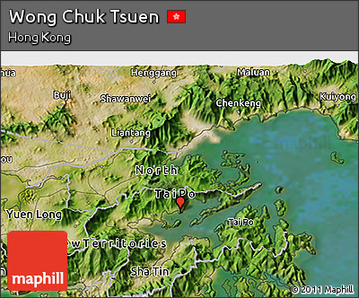 Satellite 3D Map of Wong Chuk Tsuen