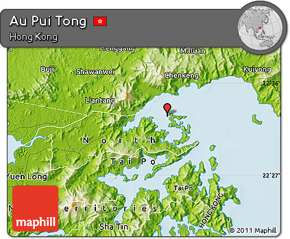 Physical Map of Au Pui Tong