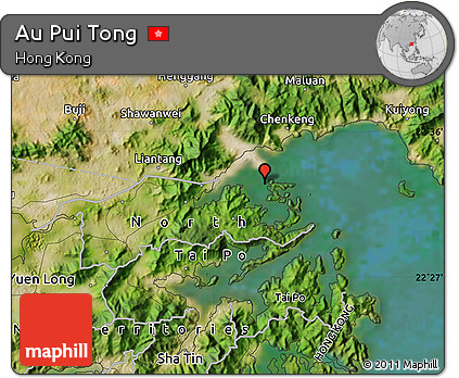 Satellite Map of Au Pui Tong
