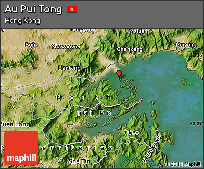 Satellite Map of Au Pui Tong