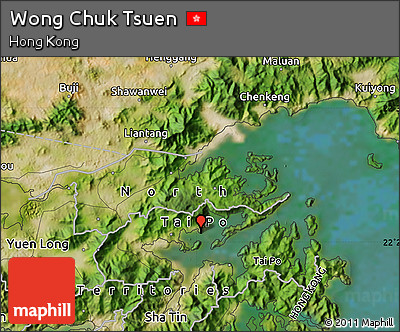 Satellite Map of Wong Chuk Tsuen