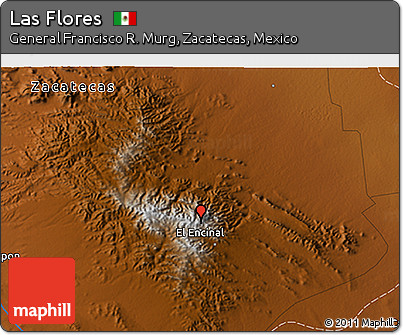 Physical 3D Map of Las Flores