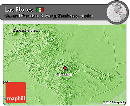 Political 3D Map of Las Flores