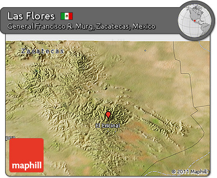 Satellite 3D Map of Las Flores