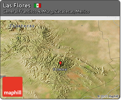 Satellite 3D Map of Las Flores