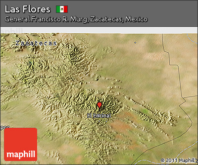 Satellite 3D Map of Las Flores