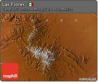 Physical Map of Las Flores