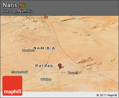Satellite Panoramic Map of Naris