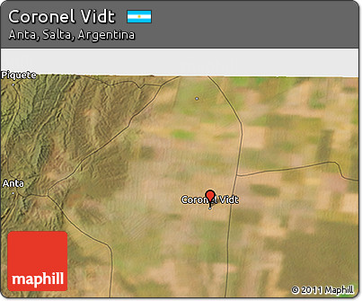 Satellite 3D Map of Coronel Vidt