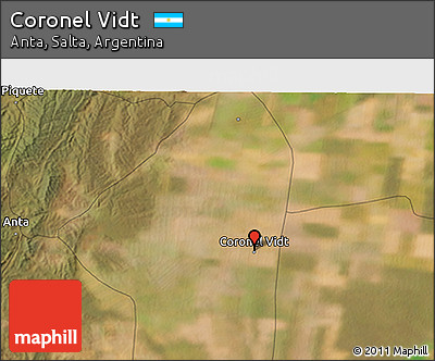 Satellite 3D Map of Coronel Vidt