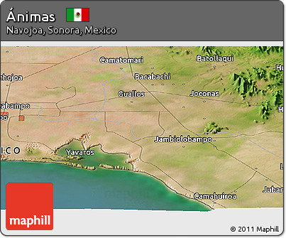 Satellite Panoramic Map of Ánimas