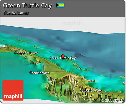 Satellite Panoramic Map of Green Turtle Cay