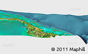 Satellite Panoramic Map of Green Turtle Cay