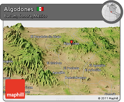 Satellite Panoramic Map of Algodones