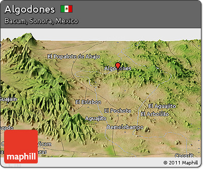Satellite Panoramic Map of Algodones